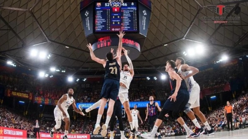 Cá cược bóng rổ Blue88